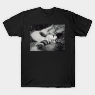 bully kitty T-Shirt